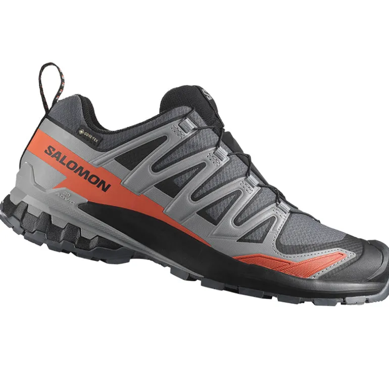 Scarpe uomo XA Pro 3D V9 GTX