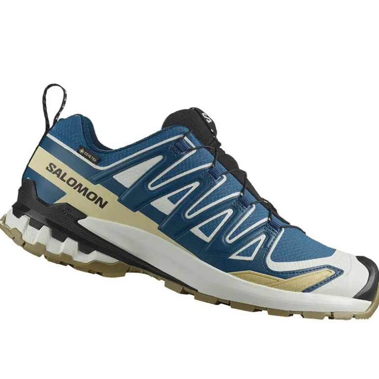 Scarpe uomo XA Pro 3D V9 GTX